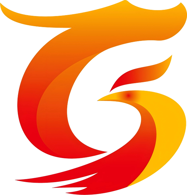 浙江宏观科技 Logo